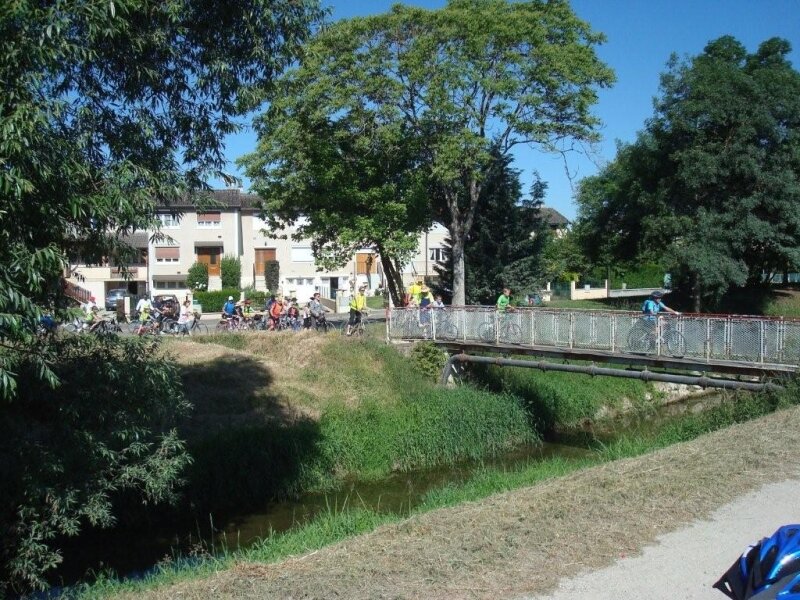 Fête du vélo