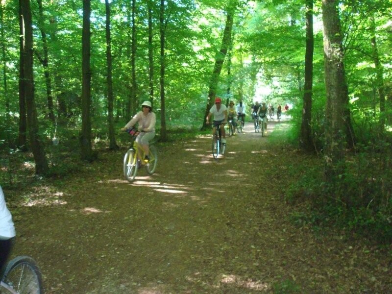 Fête du vélo