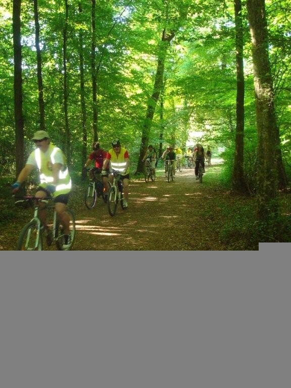 Fête du vélo
