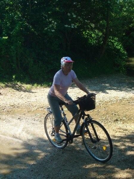 Fête du vélo