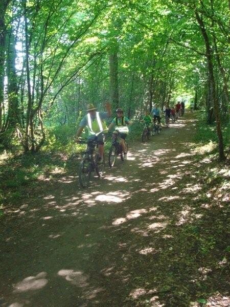 Fête du vélo