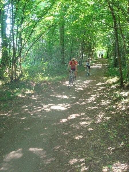 Fête du vélo