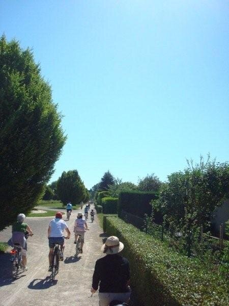 Fête du vélo