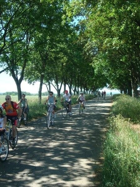 Fête du vélo