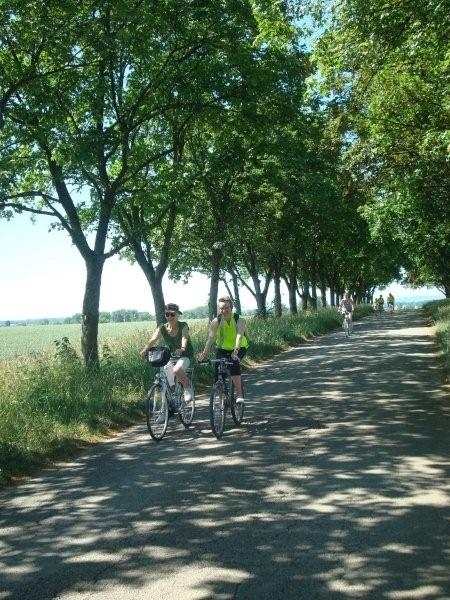 Fête du vélo