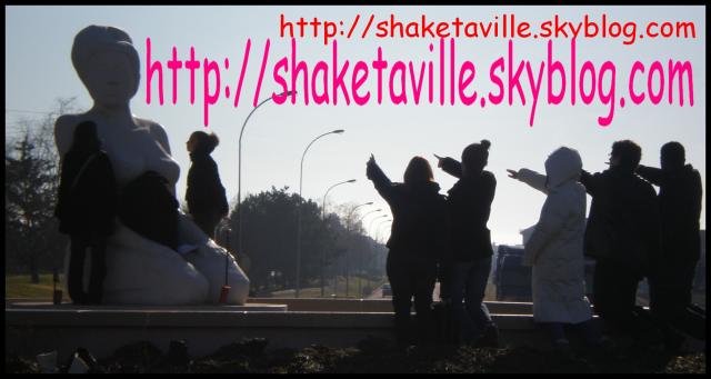 Shaketaville